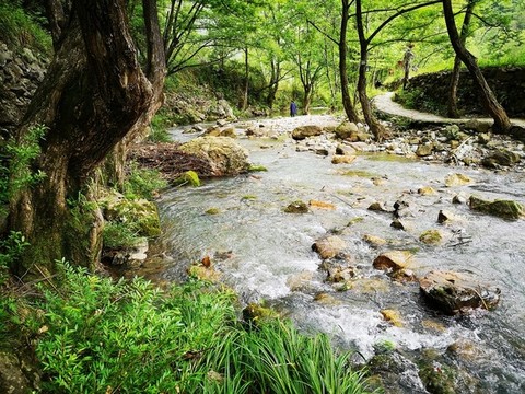 小溪流水