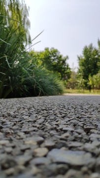 公園的路