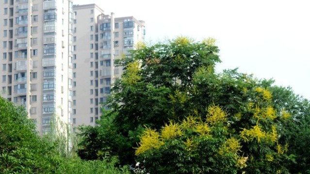 巢湖城市口袋公園之丁崗河公園