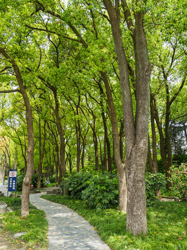 蘇州大運(yùn)河景觀帶
