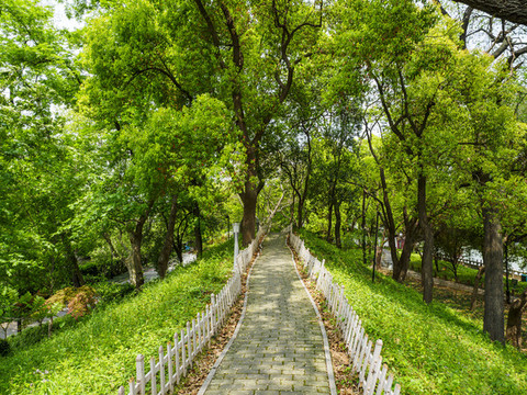 蘇州大運河景觀帶
