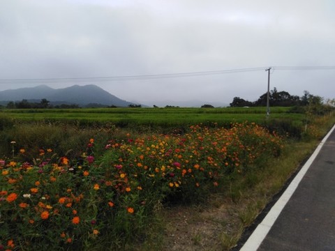 農(nóng)村