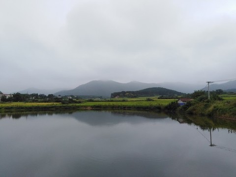 農(nóng)村