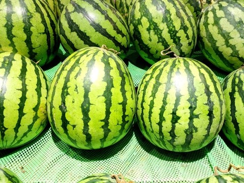 麒麟瓜西瓜