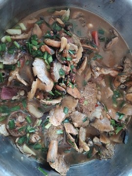 臘肉樅菌