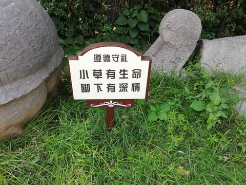 愛護(hù)花草