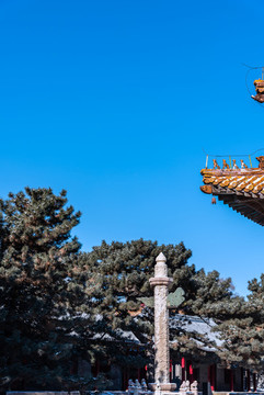 中國(guó)遼寧沈陽(yáng)清昭陵的華表