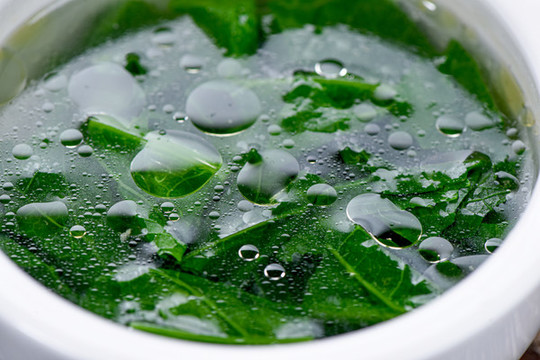 豆尖湯