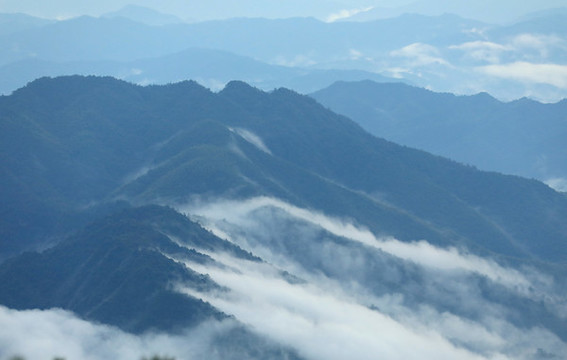 崇義上堡萬(wàn)長(zhǎng)山茶園云海