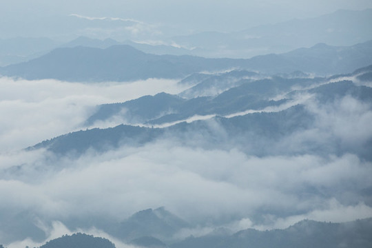 崇義上堡萬長山茶園云海