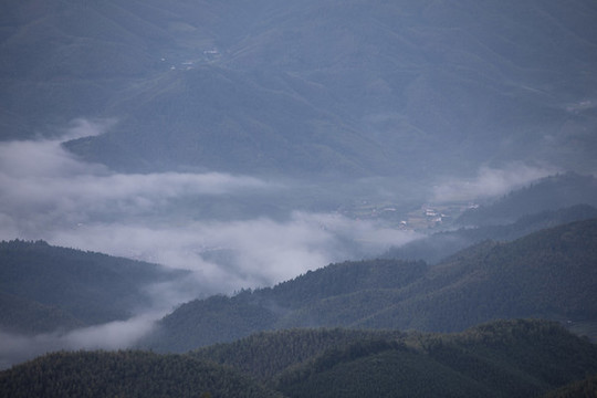 崇義上堡萬(wàn)長(zhǎng)山茶園云海