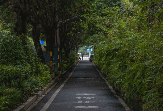城市自行車道綠蔭