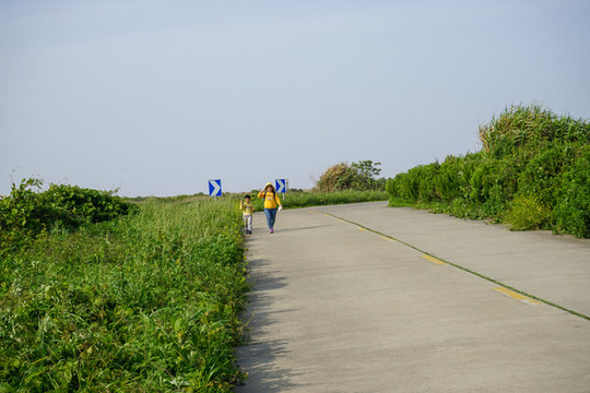野外公路