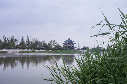 伊婁古運河