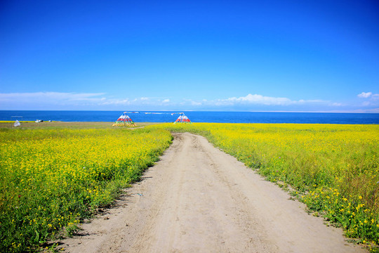 青海湖