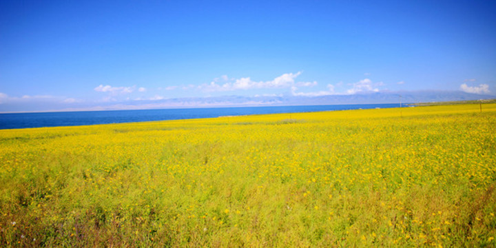 青海湖旅游風(fēng)光