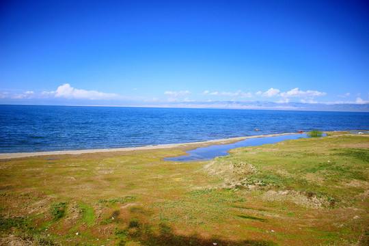 青海湖美景