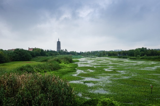 運河生態(tài)景觀