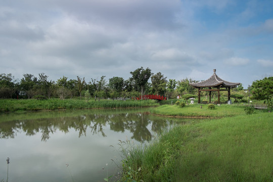 生態(tài)水景