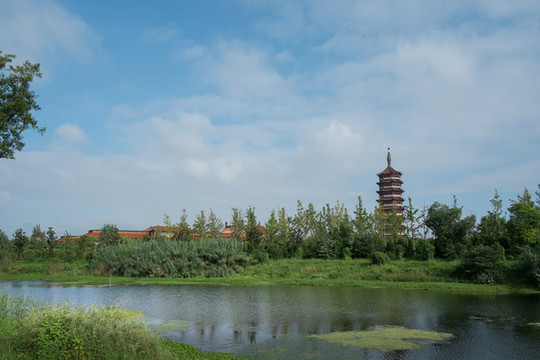 運河生態(tài)景觀