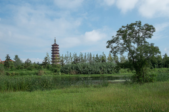 高旻寺中天塔