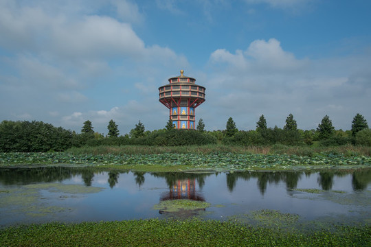 高旻寺鐘之巔