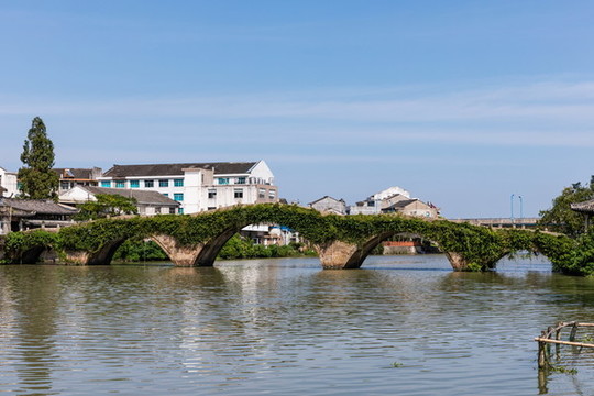 溫嶺金清大橋