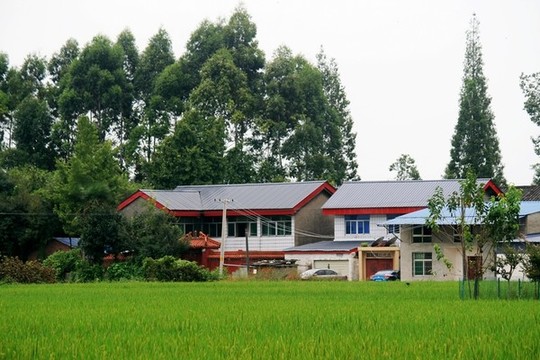 新農(nóng)家