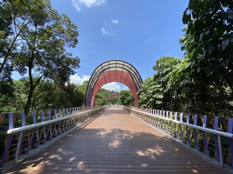 好看的天橋