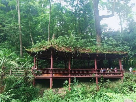 涼亭休閑場所午后小憩旅游景