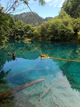 九寨溝山水風(fēng)景清澈湖水