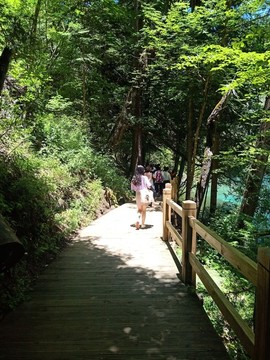 山間小路午后時光散步