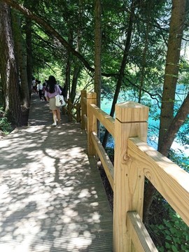 九寨溝山間小路欄桿山路