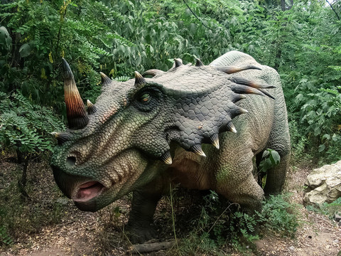 獨角龍