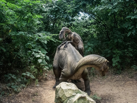 速龍