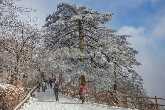 黃山