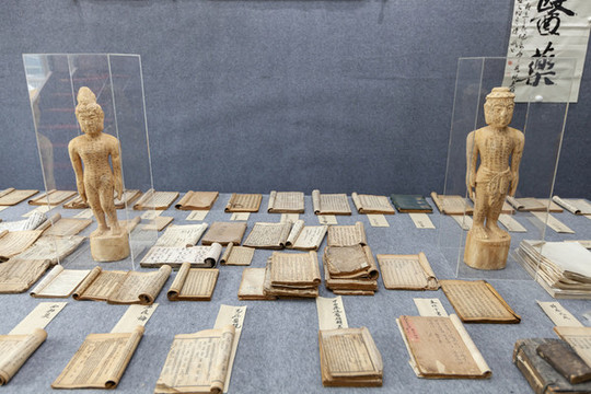 中醫(yī)藥實(shí)物展示