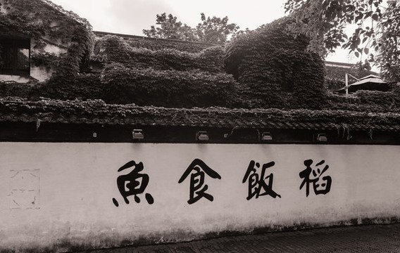 飯稻羹魚的演變
