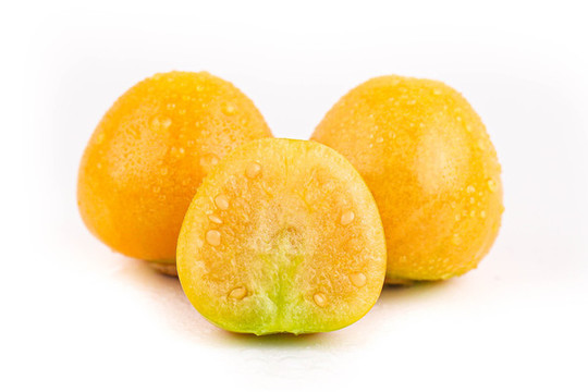黃燈籠果