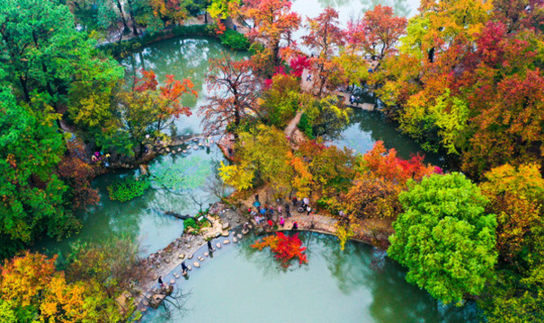 蘇州天平山紅葉