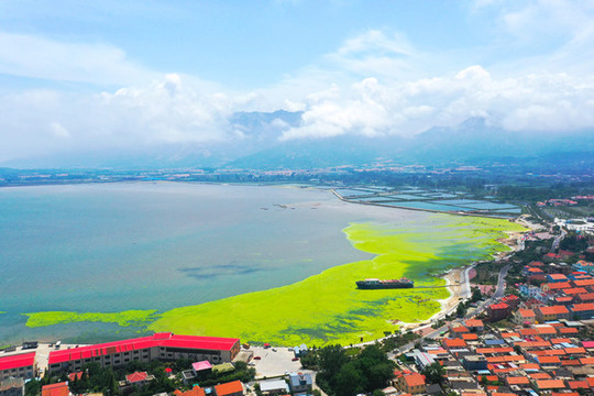 會(huì)場村