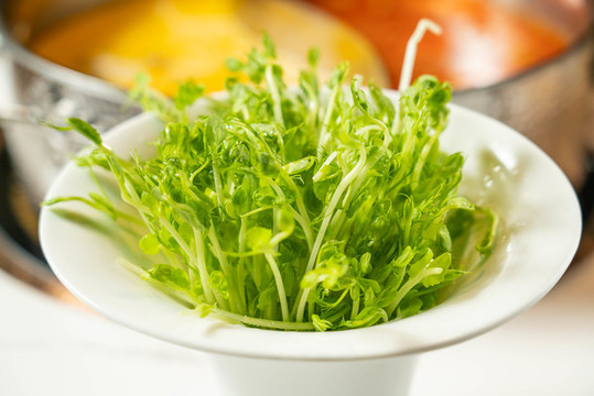 青豆苗