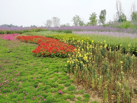 花園