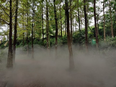 樹林