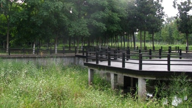 巢湖城市口袋公園之丁崗河公園