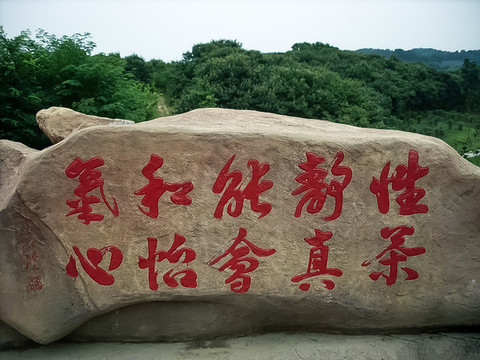 茶道