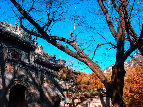 山林中的寺廟