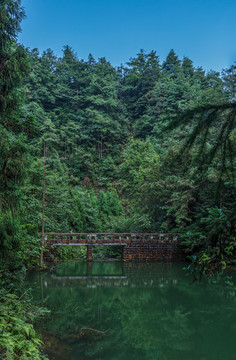 重慶大圓洞森林公園