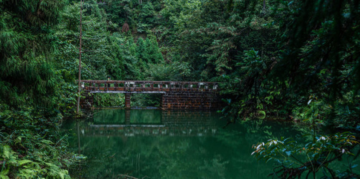 重慶大圓洞森林公園