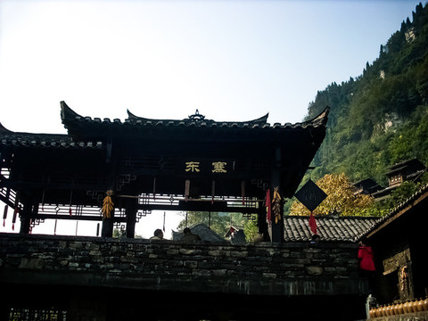 東寨